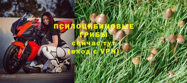 mdpv Алексеевка