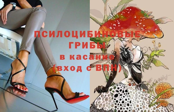 PSILOCYBIN Абаза