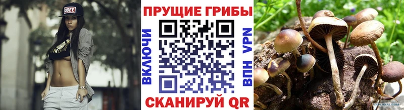 Галлюциногенные грибы Cubensis  Грязи 
